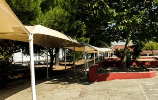 transferir (20)