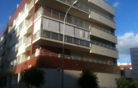 transferir (45)